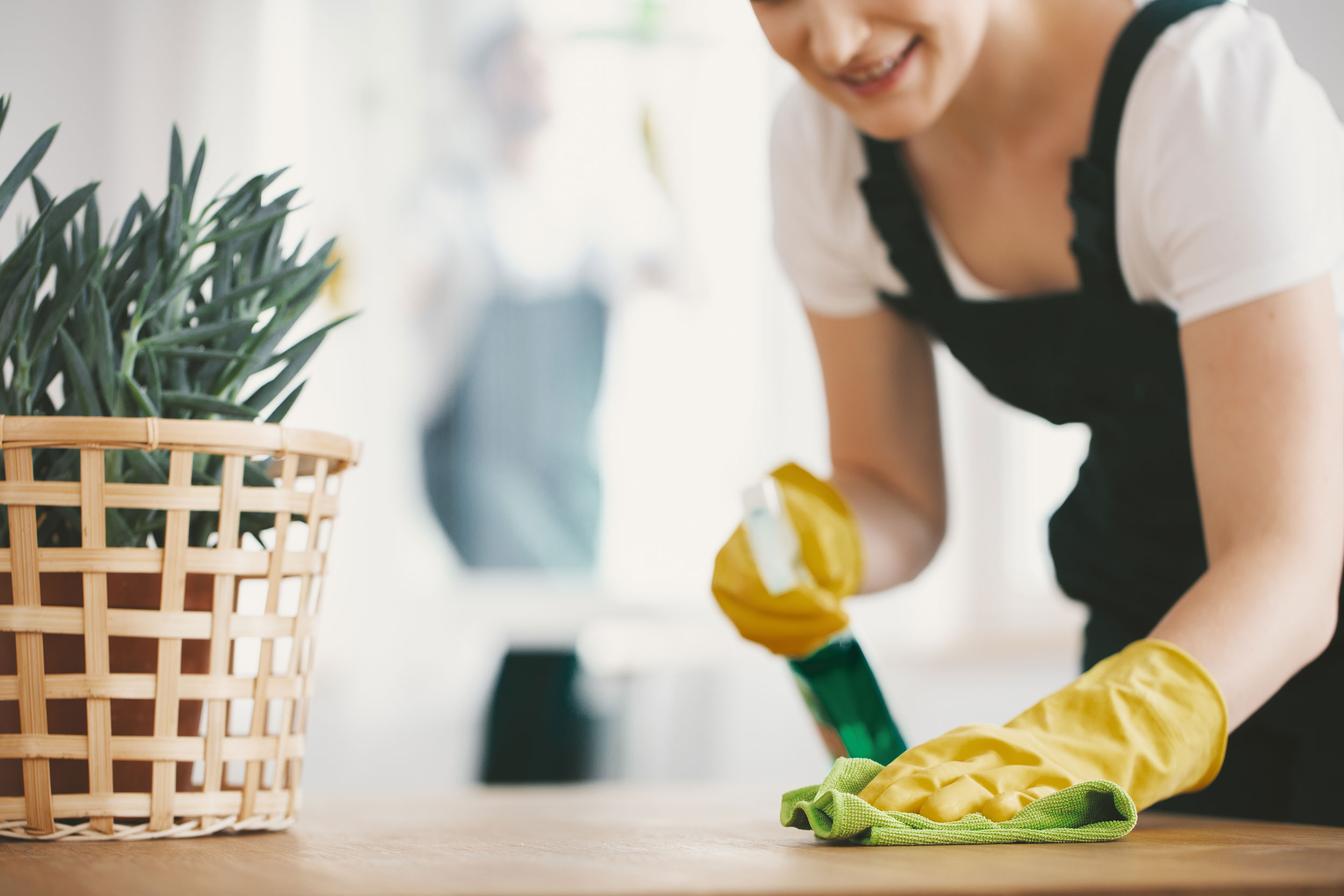 Cleaning-Services-Banner-Image