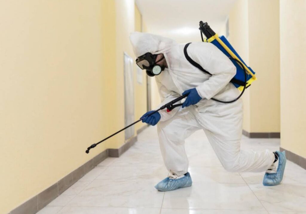 Best Pest Control Company in Gold Coast